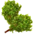 ВЕНИКИ И ТРАВЫ